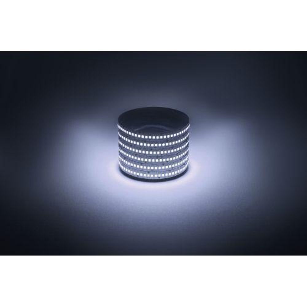 Лента светодиодная LS2835 -19.2-240-12-6500K-IP20-1 year-5m холод. бел. (уп.5м) Эра Б0059908