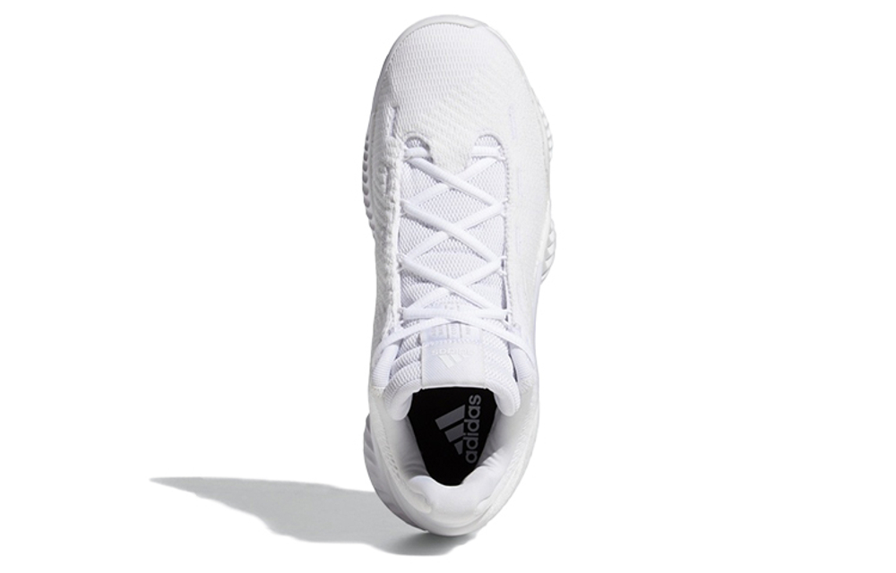 Pro bounce 2018 low white sales