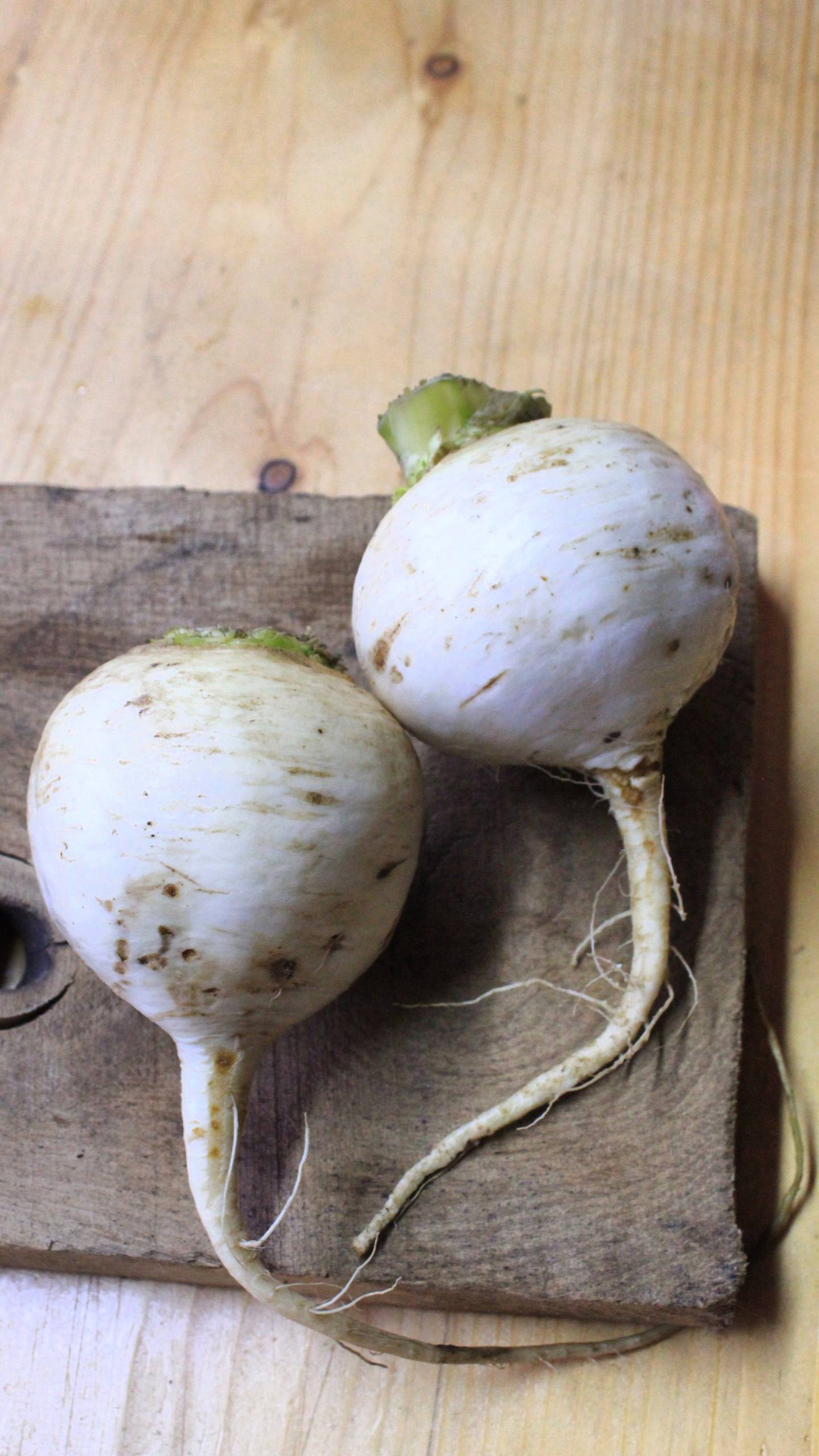 Репа белая