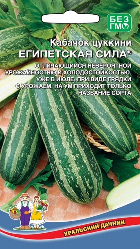 Кабачок &quot;G. Египетская сила&quot; 10шт., Россия.