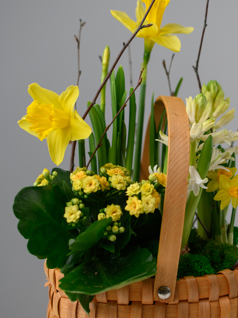 Аромат солнца