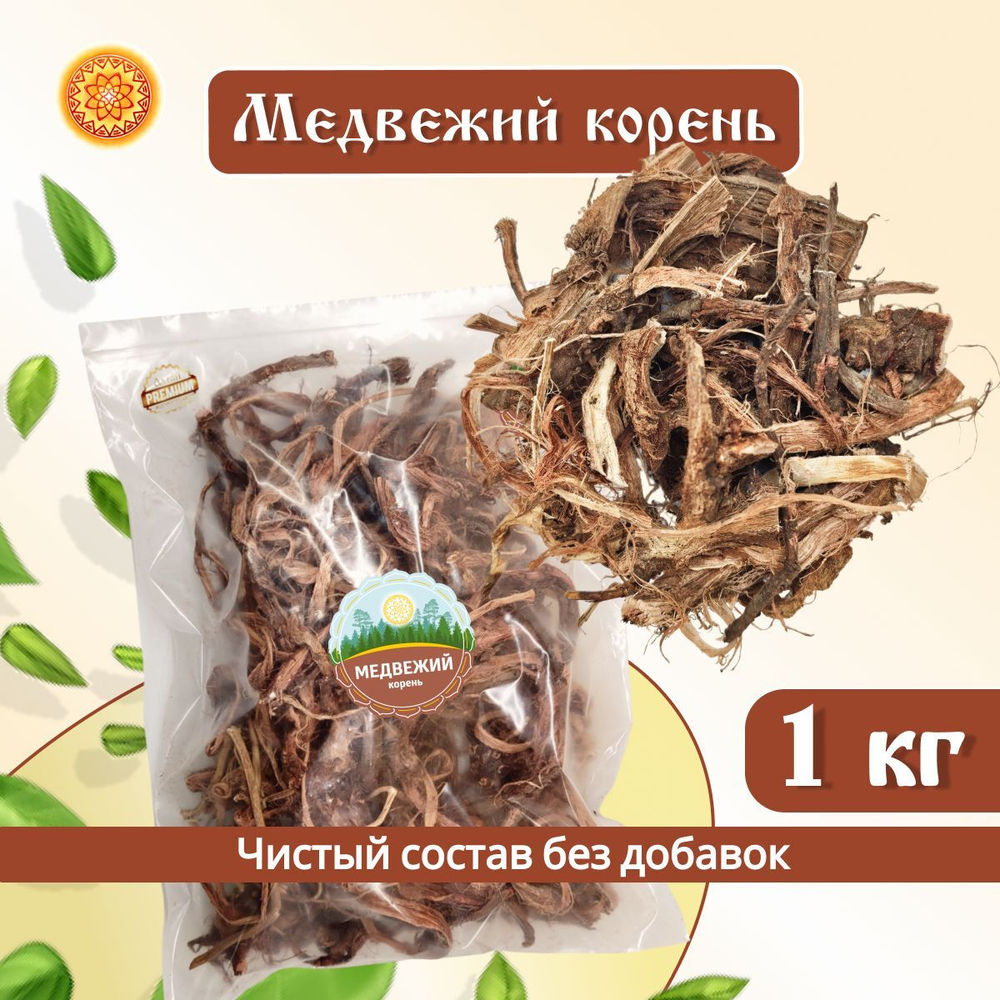 Медвежий корень Алтайский (Копеечник чайный/Красный корень).