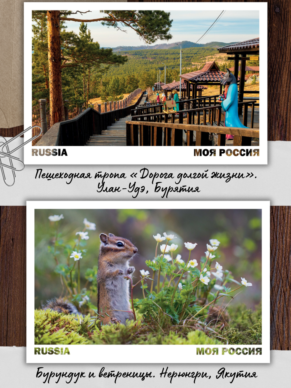 Моя Россия. Весна (выпуск №5, 2026)