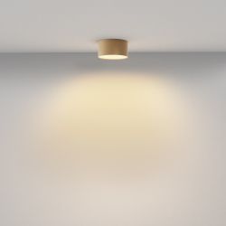 Светильник потолочный светодиодный Maytoni Zon C032CL-12W2.7K-RD-MG