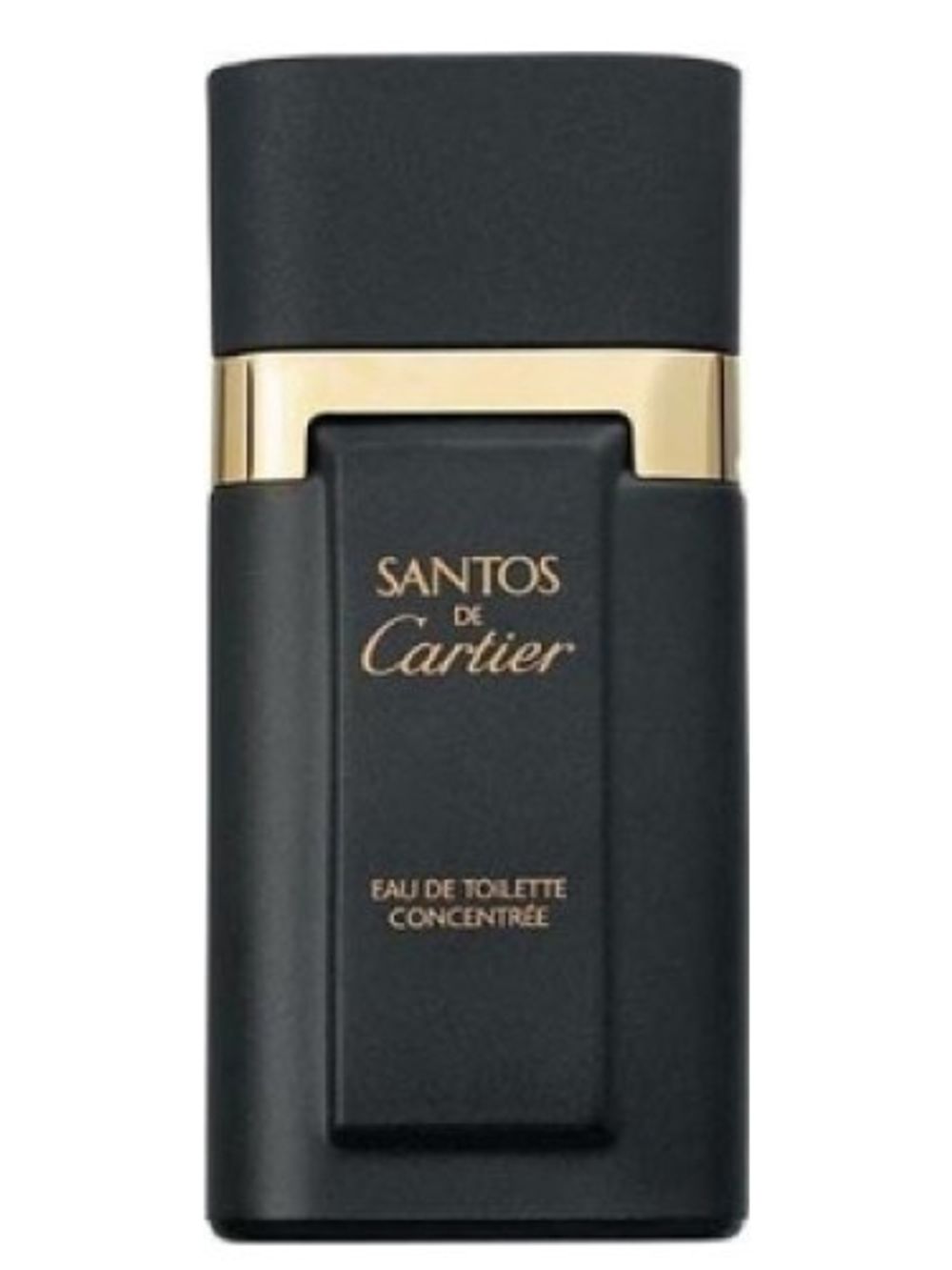 Cartier Santos Concentree