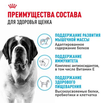 Royal Canin Giant Junior для щенков очень крупных пород с 8 до 18-24 месяцев