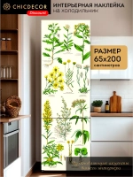 Наклейка интерьерная на холодильник Гербарий