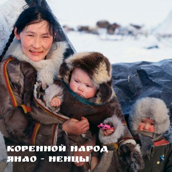 Коренной народ ЯНАО - ненцы