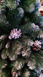Заснеженная елка с шишками «Снежная королева» (пвх) 270 см / 2.7 м