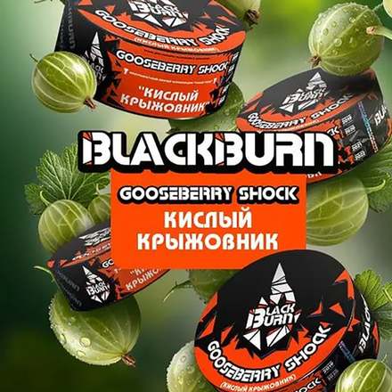 Black Burn Gooseberry Shock (Кислый крыжовник) 25 гр.