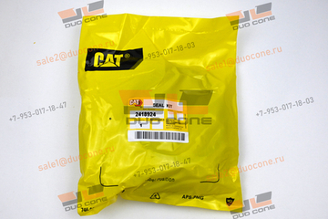 Ремкомплект Seal KIT 2418924 для Caterpillar