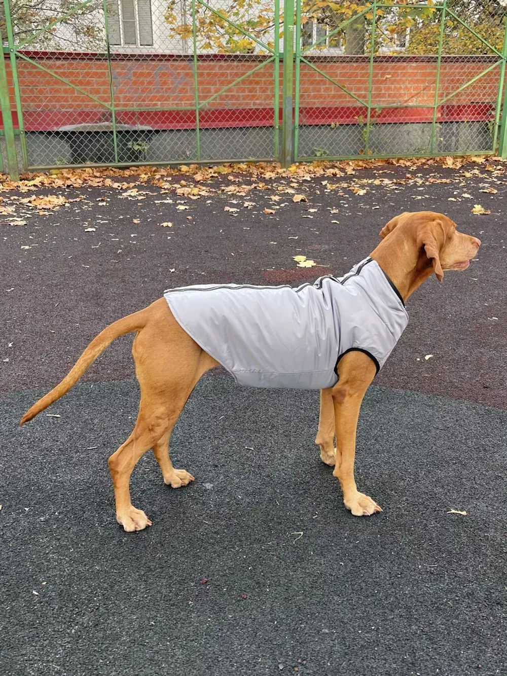 Жилет для собак мелких и средних пород зимний