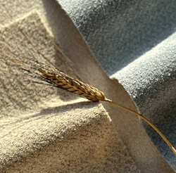 Шенилл Harris (Харрис) 510