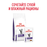 Royal Canin NEUTERED MAINTENANCE Корм влажный для взрослых стерилизованных кошек с момента кастрации до 7 лет соус 85г
