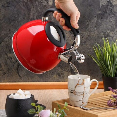 Чайник нерж, 3 л, свист, ручк с силик покр, Daniks, Валетта, индукц, QS-K-3