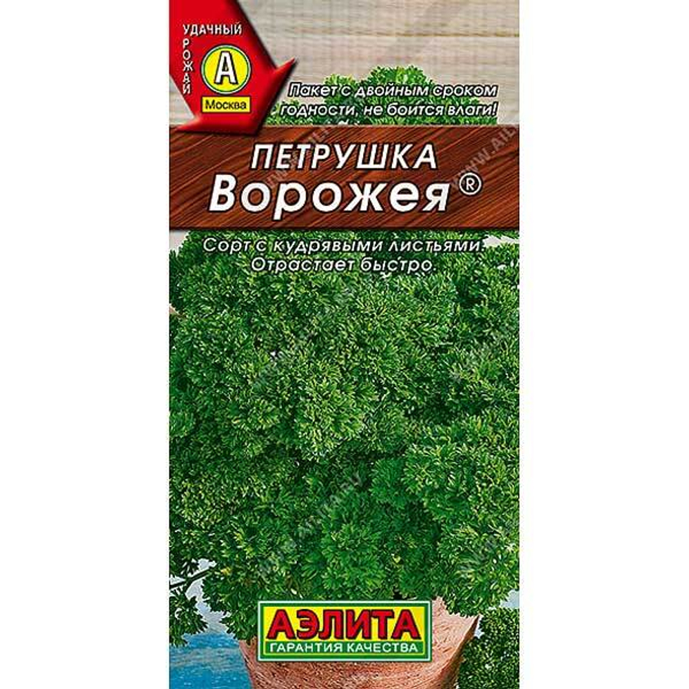 Петрушка кудрявая Ворожея Аэлита