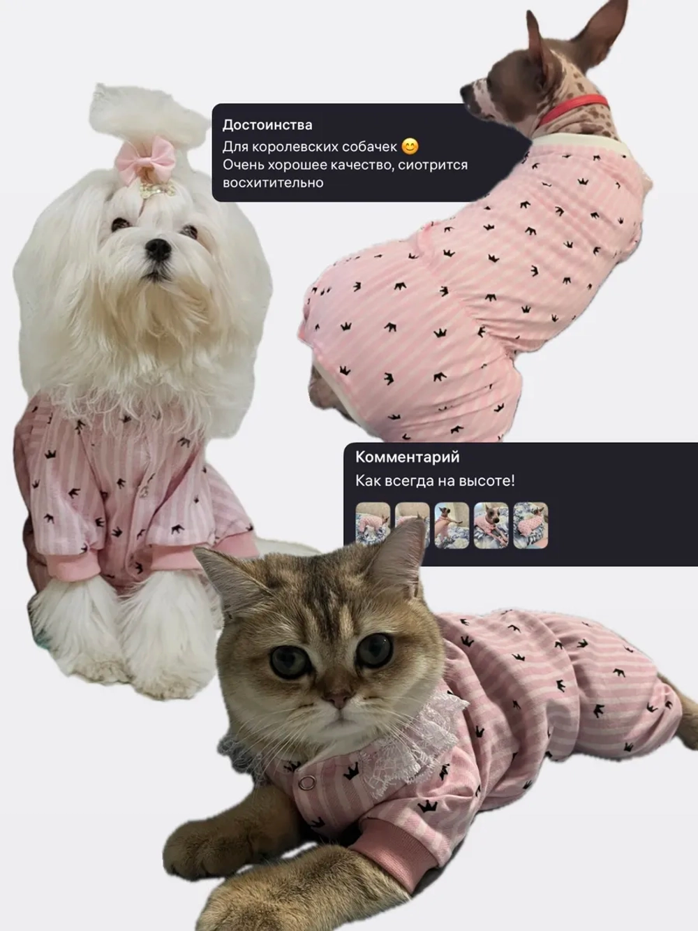Трикотажный комбинезон для собак и кошек