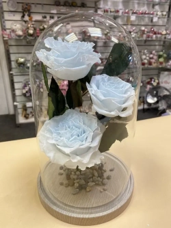 Клош с пионами