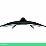 Игровой монитор Iiyama G-Master Red Eagle Curved GCB3480WQSU-B1