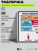 Табличка для обеспечения безопасности "Окраска индикаторов в различных средах", для производства, предприятия, организаций, 40х30 см, Silver Plane x Айдентика Технолоджи