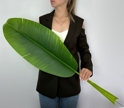 Лист банана тёмный гигант / Арт 9053