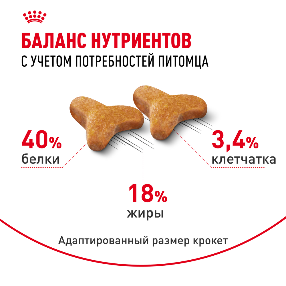 Royal Canin Bengal Adult Корм сухой сбалансированный для взрослых бенгальских кошек старше 12 месяцев 2 кг
