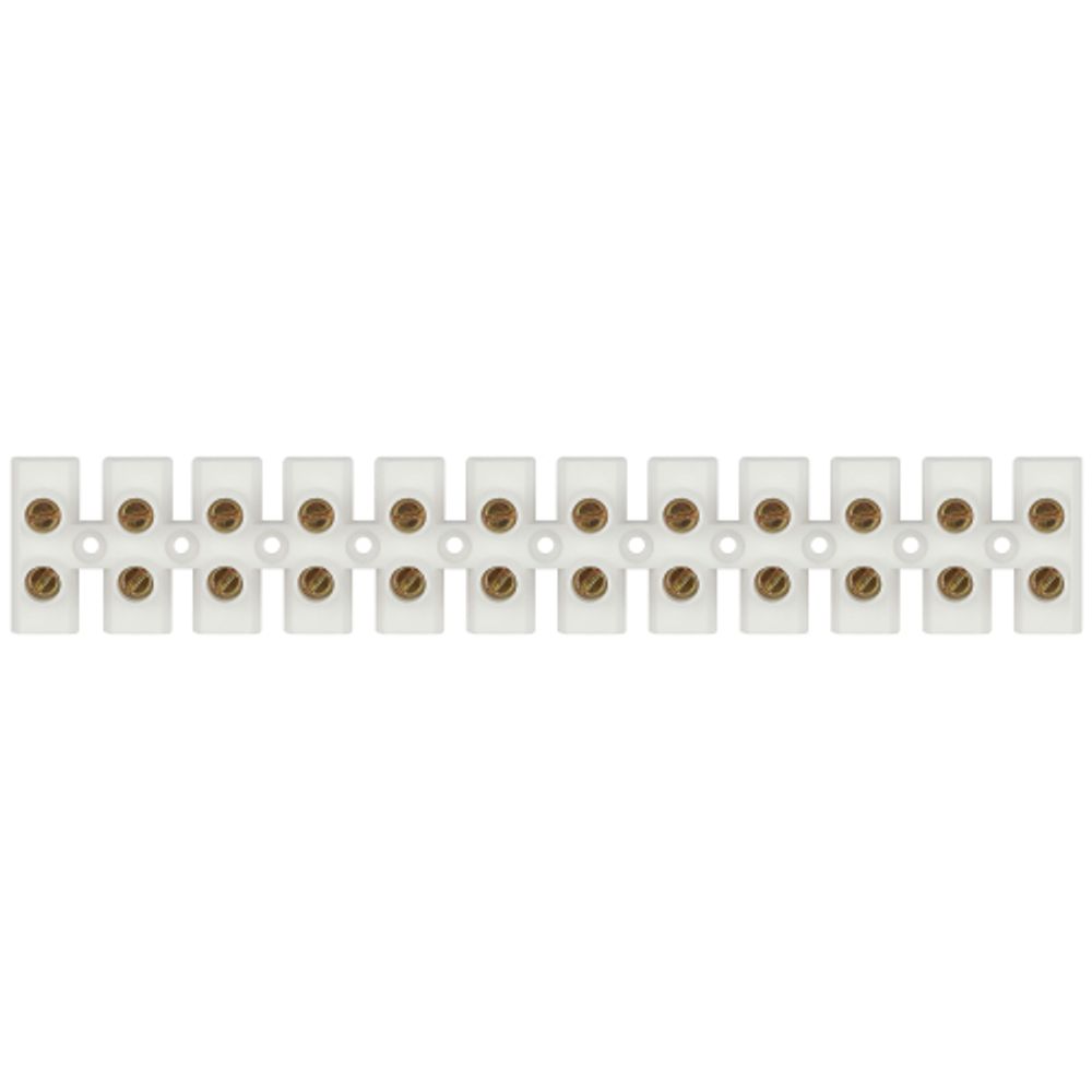 Зажим винтовой ЭРА NO-225-506 изолированный ЗВИ-нг 60А 4.0-25 мм2 12 пар белый