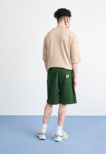 Carhartt WIP FLOYD  - Шорты - Зелёный