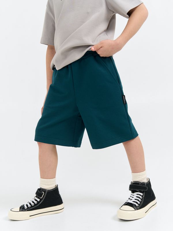 Шорты бермуды 