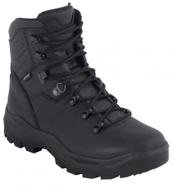 Ботинки женские Lowa R-6 GTX Ws Black