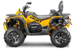 Квадроцикл СТЕЛС ATV 800 Guepard Trophy EPS CVTech