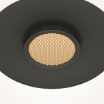 Подвесной светодиодный светильник Maytoni El MOD041PL-L15B3K1