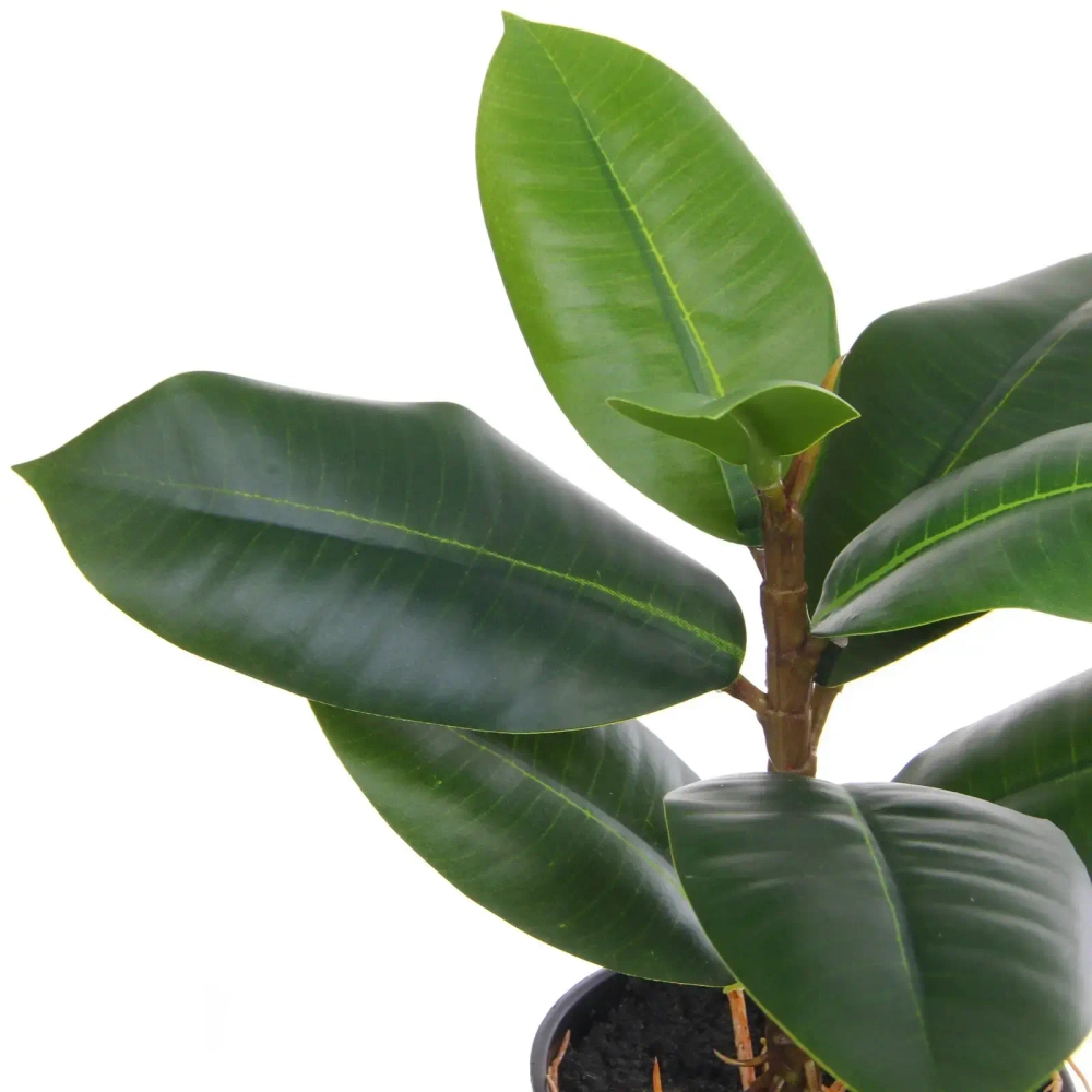 Цветок искусственный в горшке «Фикус» 26см