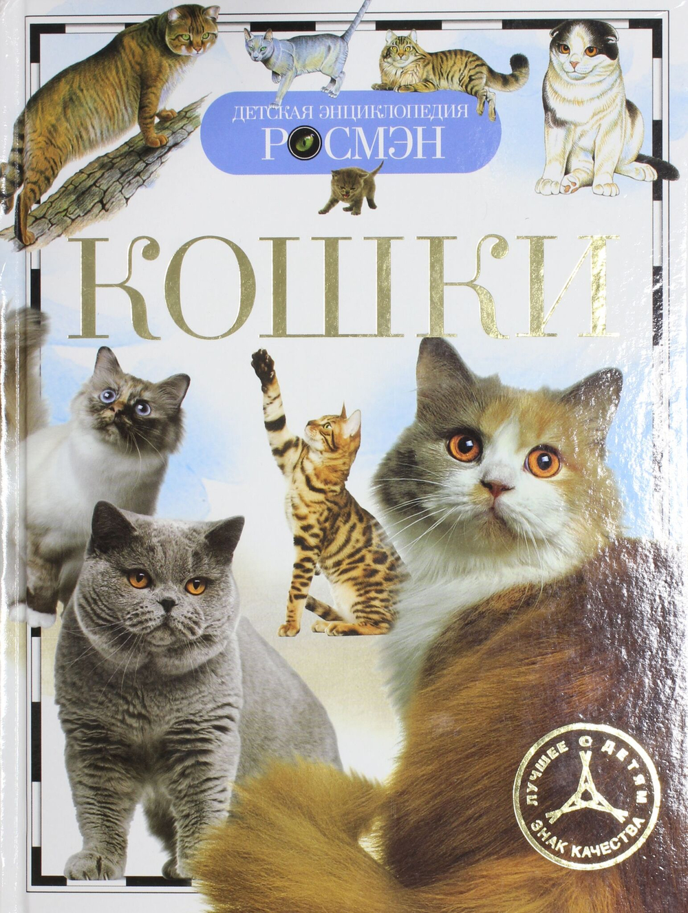 Кошки