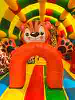 Коммерческий надувной батут «Страна Сафария» с крышей, 13*8*6 м