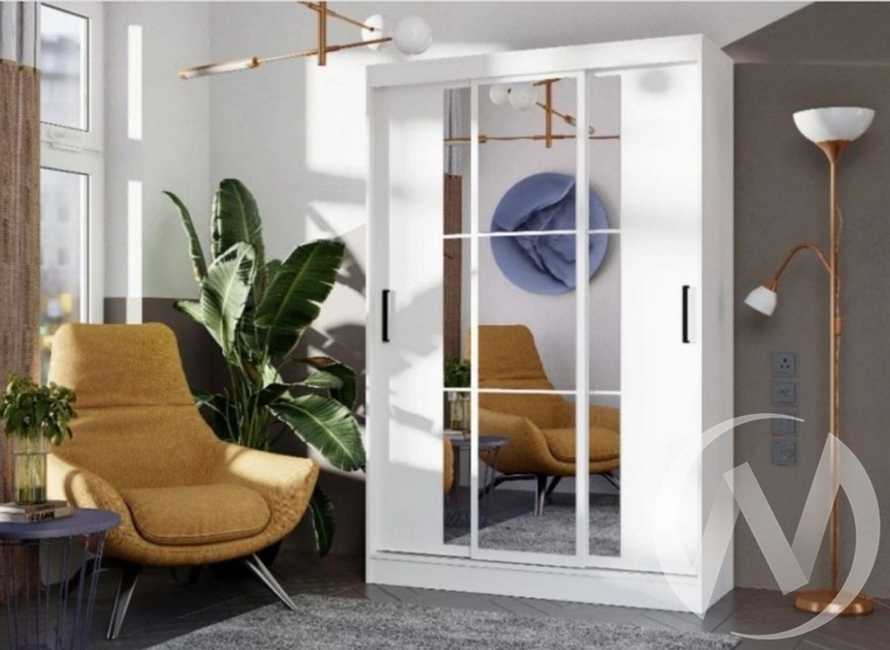 Шкаф-купе Тайм ШКК-03