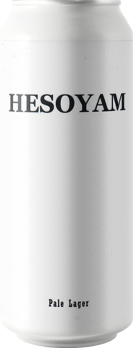 Пиво Плейг HESOYAM 0.5 - банка