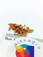 Панекра F1 семена томата индетерминантного (Syngenta / ALEXAGRO)