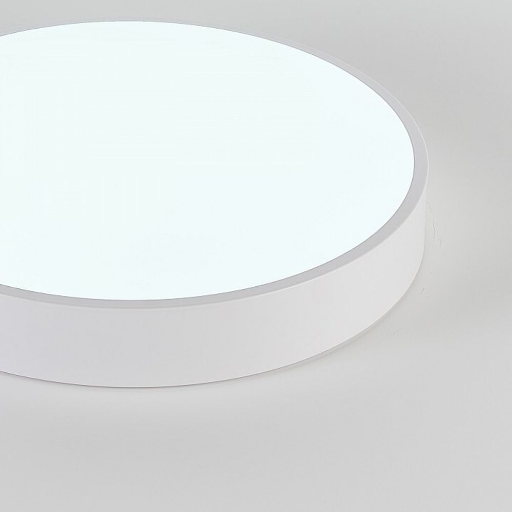 Накладной светильник Natali Kovaltseva  LED LAMPS 81111/5C