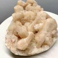 Эксклюзив