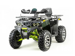 Квадроцикл MOTOLAND 200 Wild Track Pro