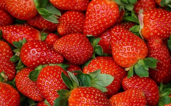 В наличии рассада клубники!