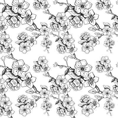 Вишня в цвету2