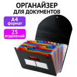 Папка-органайзер для бумаг и документов на резинке 25 отделений BRAUBERG DOCS А4 черная (2 штуки в упаковке)
