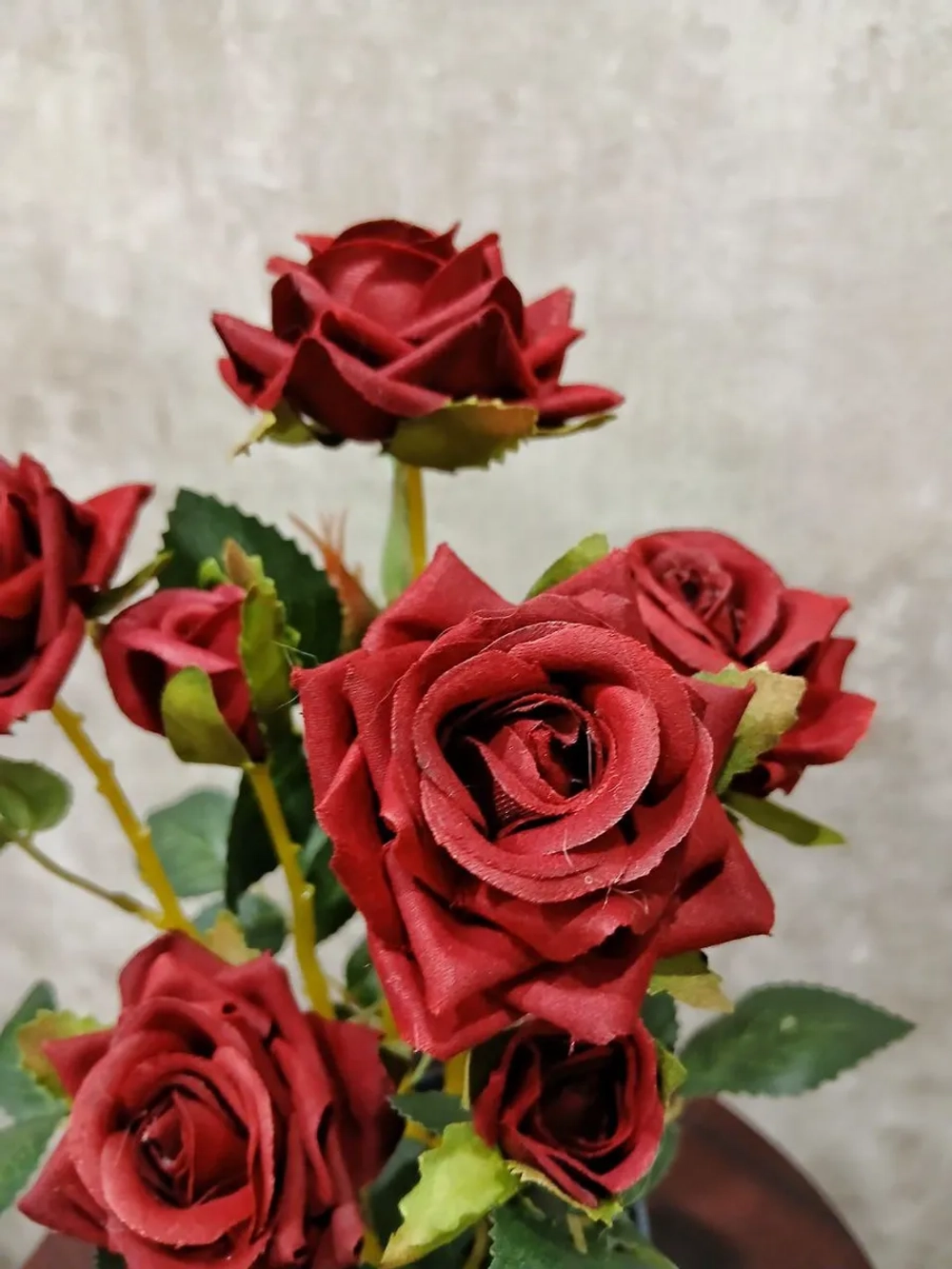 Роза кустовая бархатная, без кашпо.