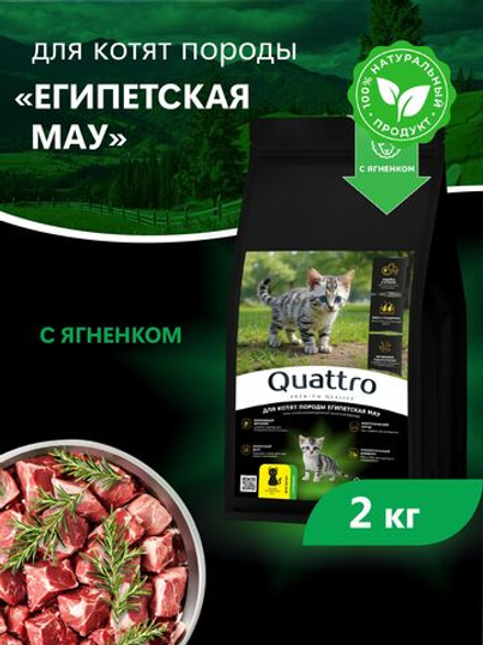 Корм сухой для котят породы Египетская мау, с ягненком, 2кг, QUATTRO