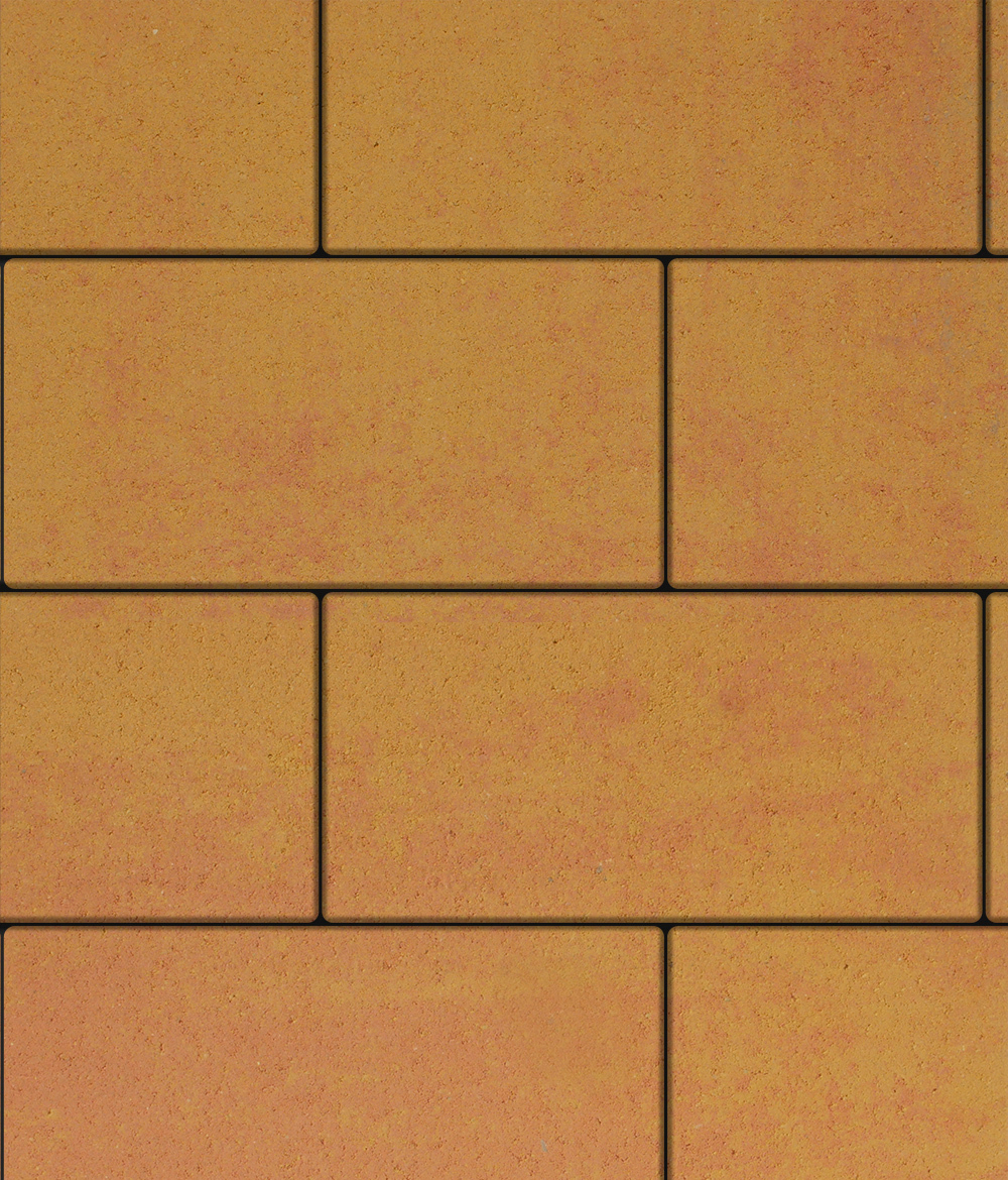 Тротуарная плитка ВЫБОР, форма Прямоугольник 600*300, h=60мм