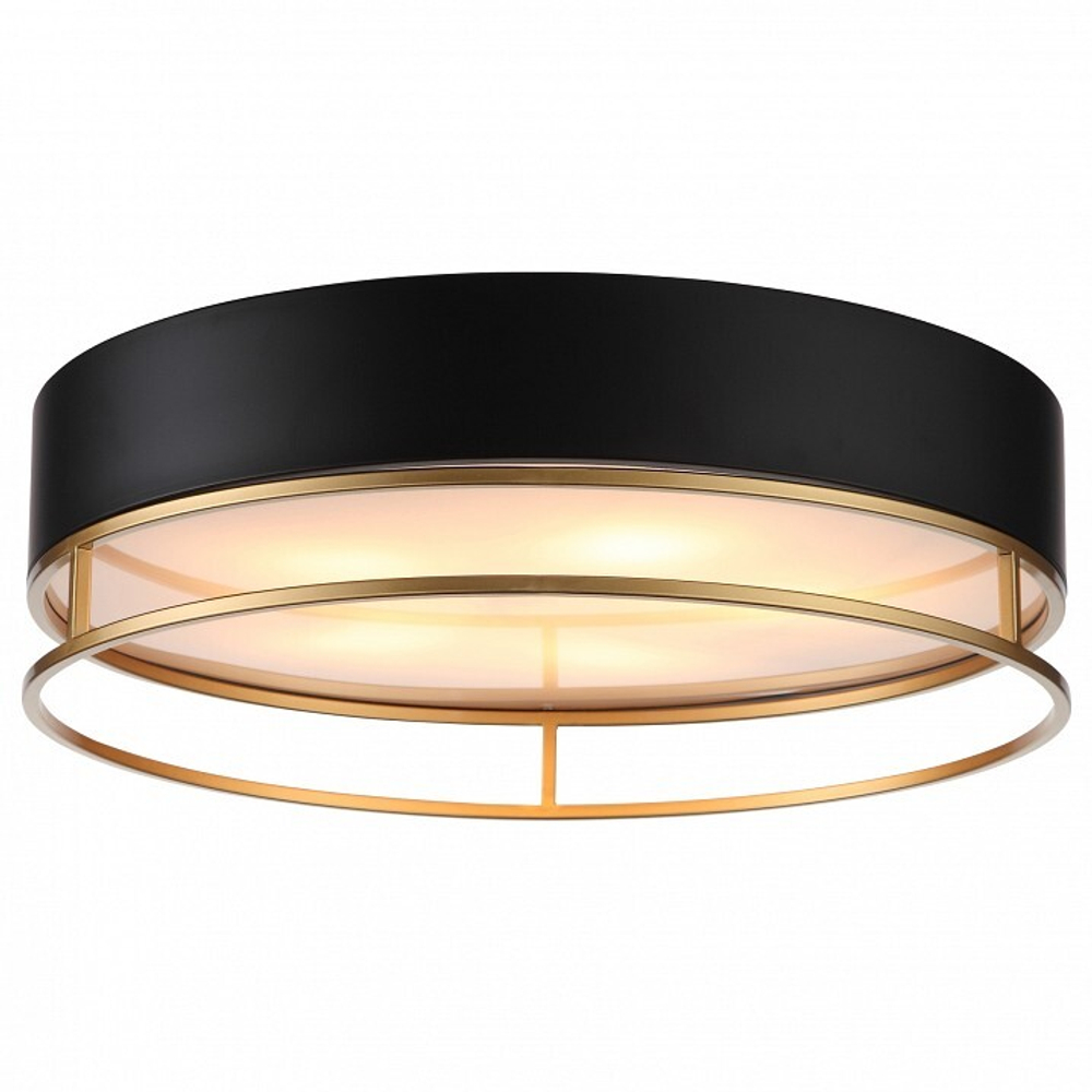 Накладной светильник ST-Luce SL1127.432.05