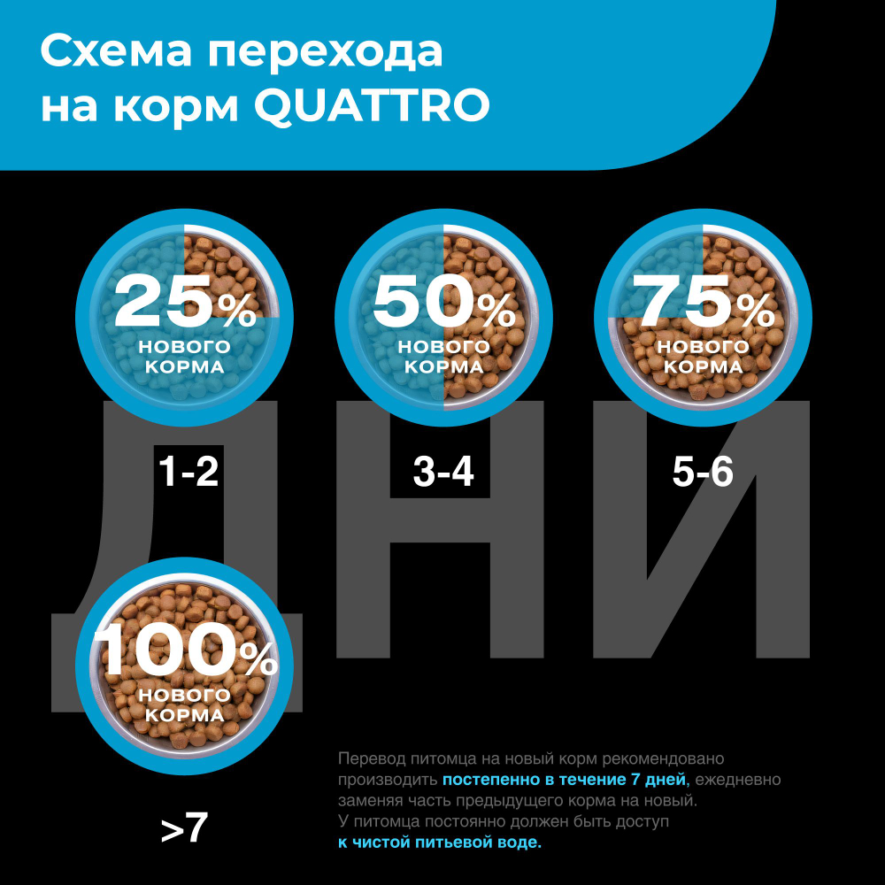 Корм сухой для взрослых собак породы Аффенпинчер, с лососем, 2,5 кг, QUATTRO