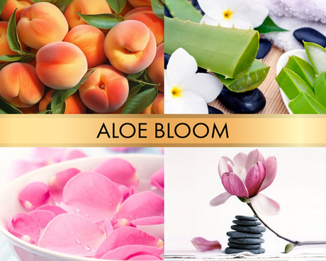 Aloe bloom (Алоэ вера)